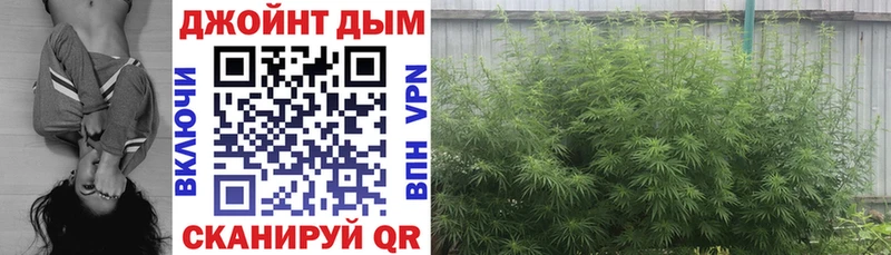 Купить закладку Краснозаводск Гашиш  Марихуана  Alpha PVP  Метамфетамин  Мефедрон 